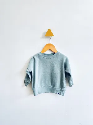 Organic Cotton Sweatshirt // 6-12M