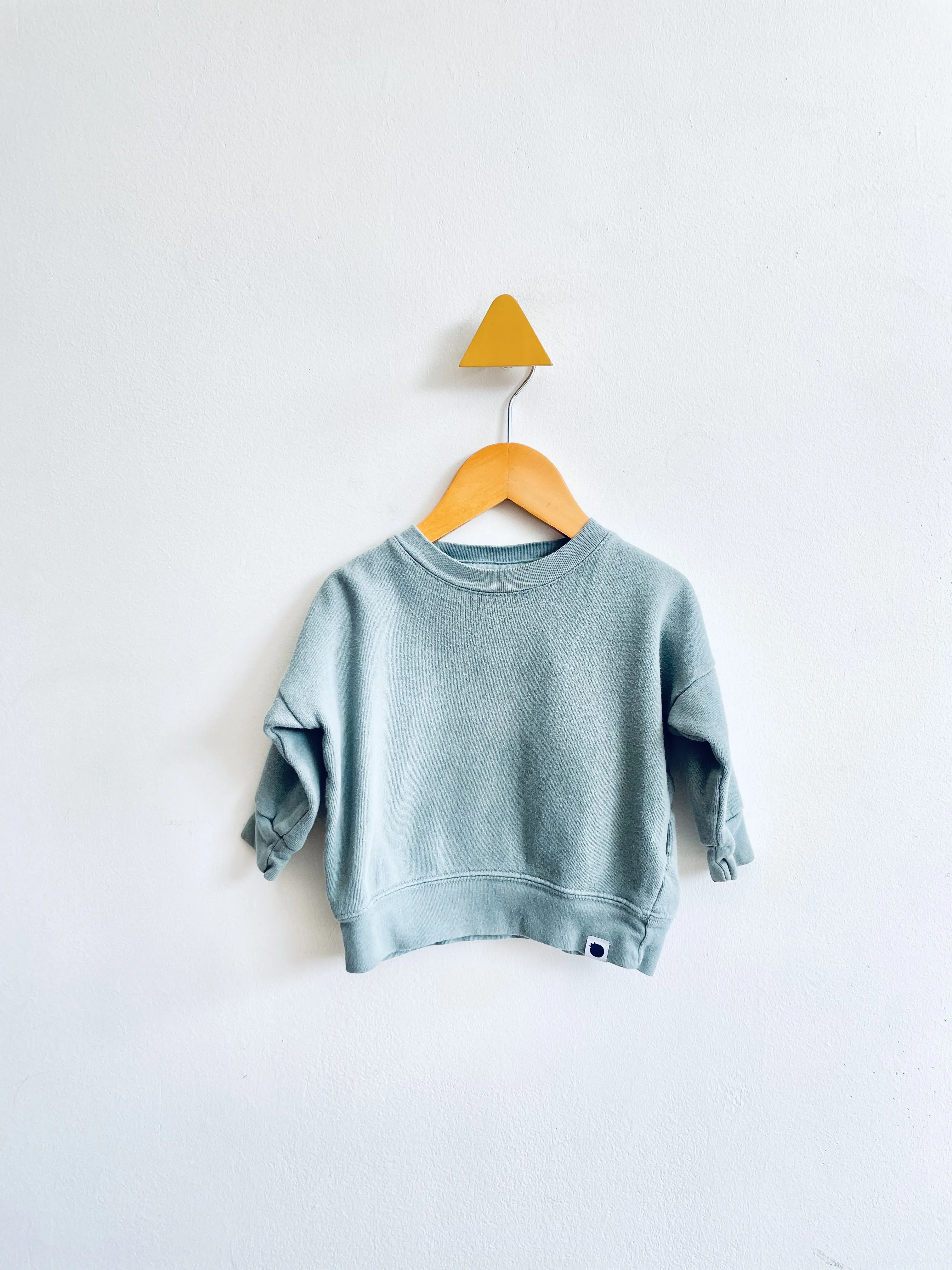 Organic Cotton Sweatshirt // 6-12M